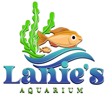 Lanie's Aquarium